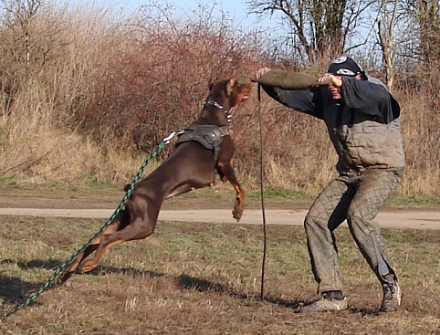 The christmas training 27.12.2006